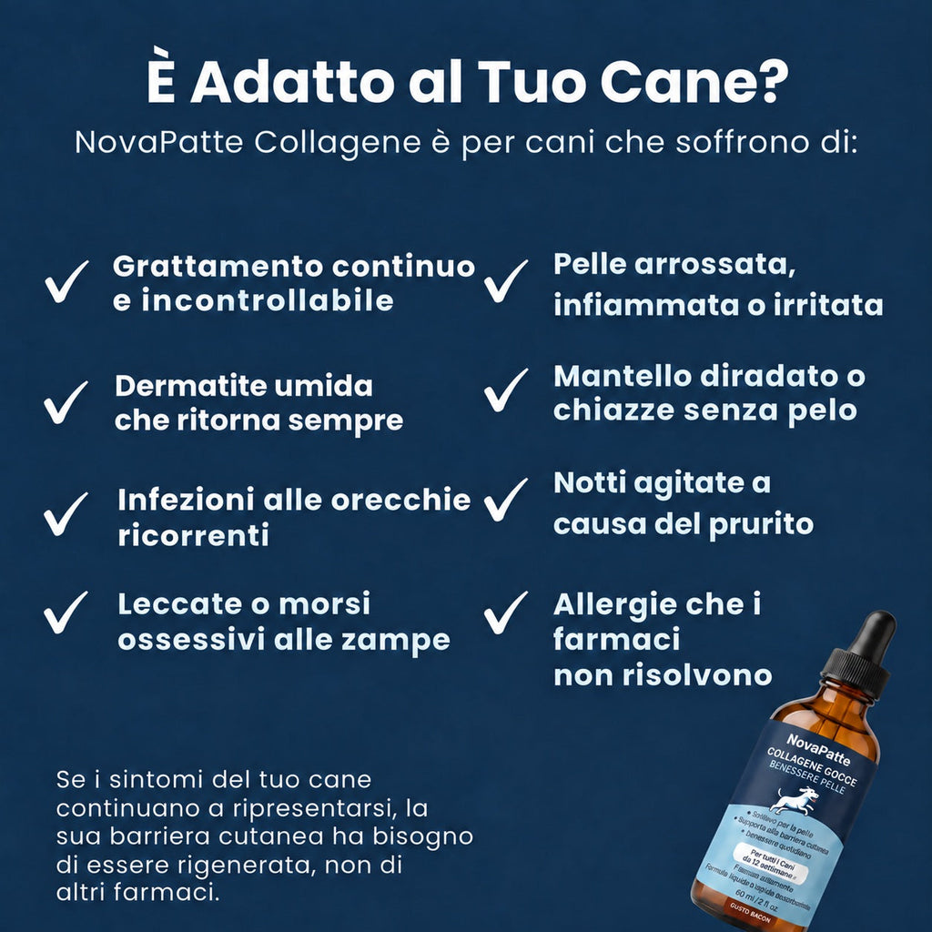 E adatto al tuo cane: sintomi della barriera cutanea indebolita