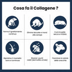 Cosa fa il collagene per la pelle del cane