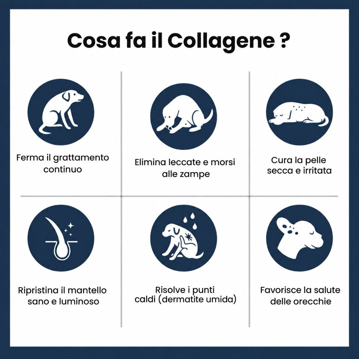 Cosa fa il collagene per la pelle del cane